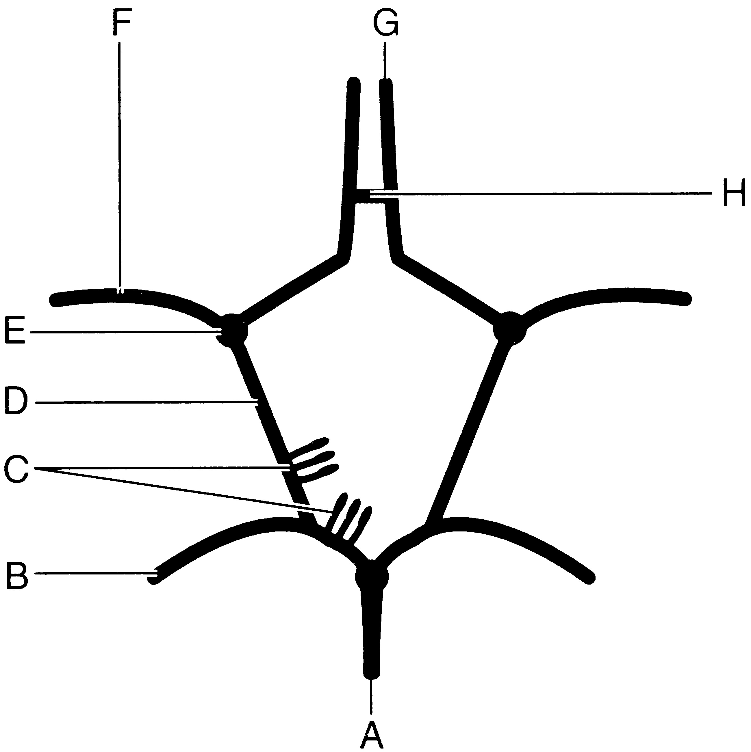 circ