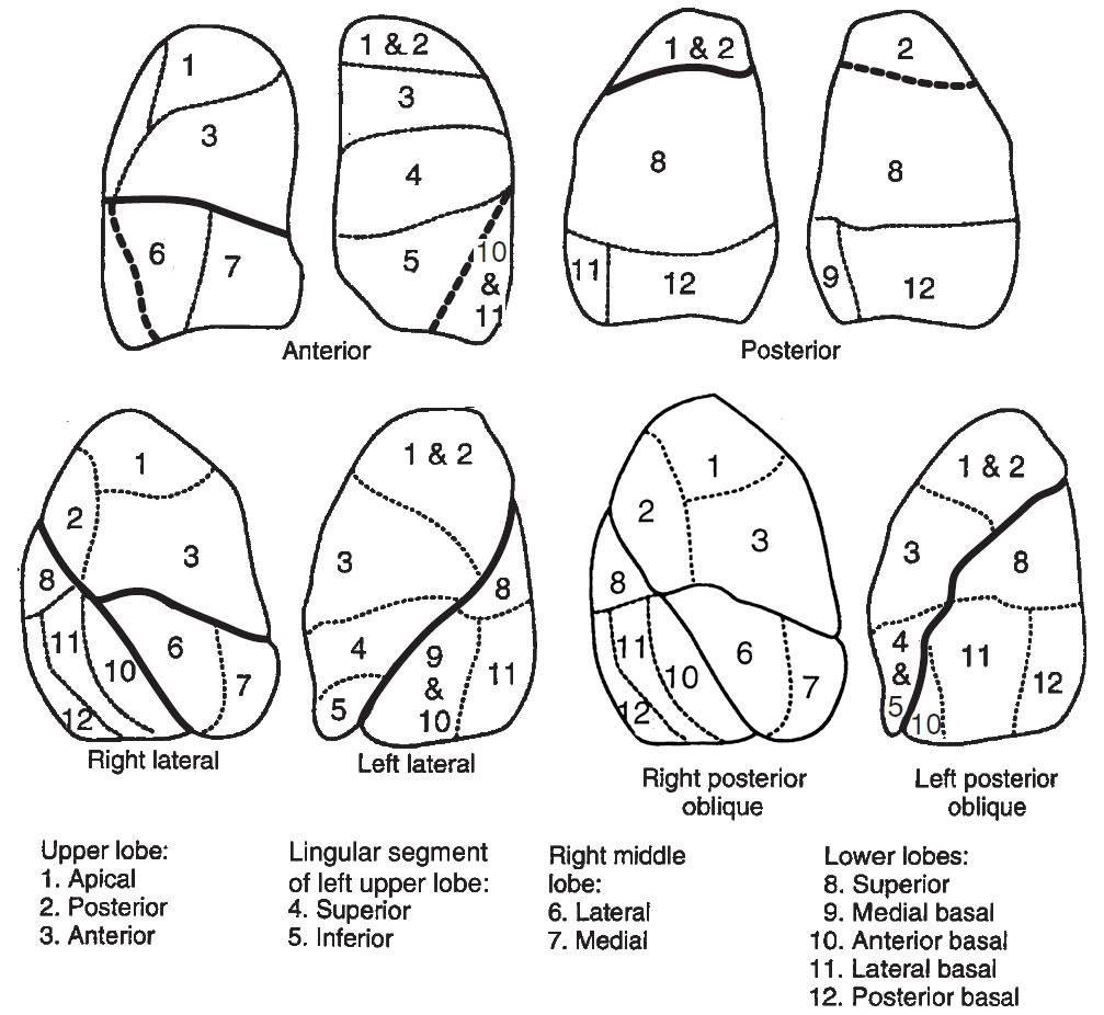 Answer image 11_5