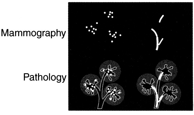 Answer image 8_10