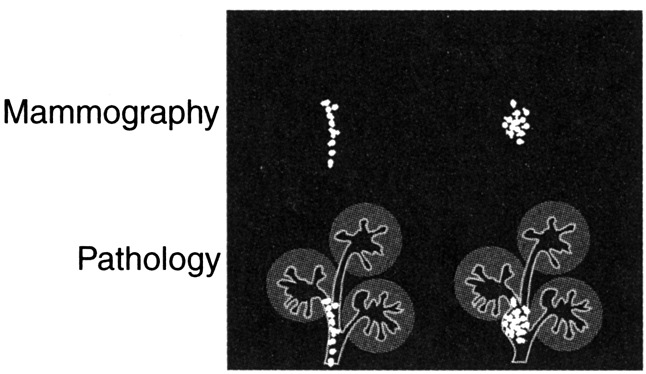 Answer image 8_11